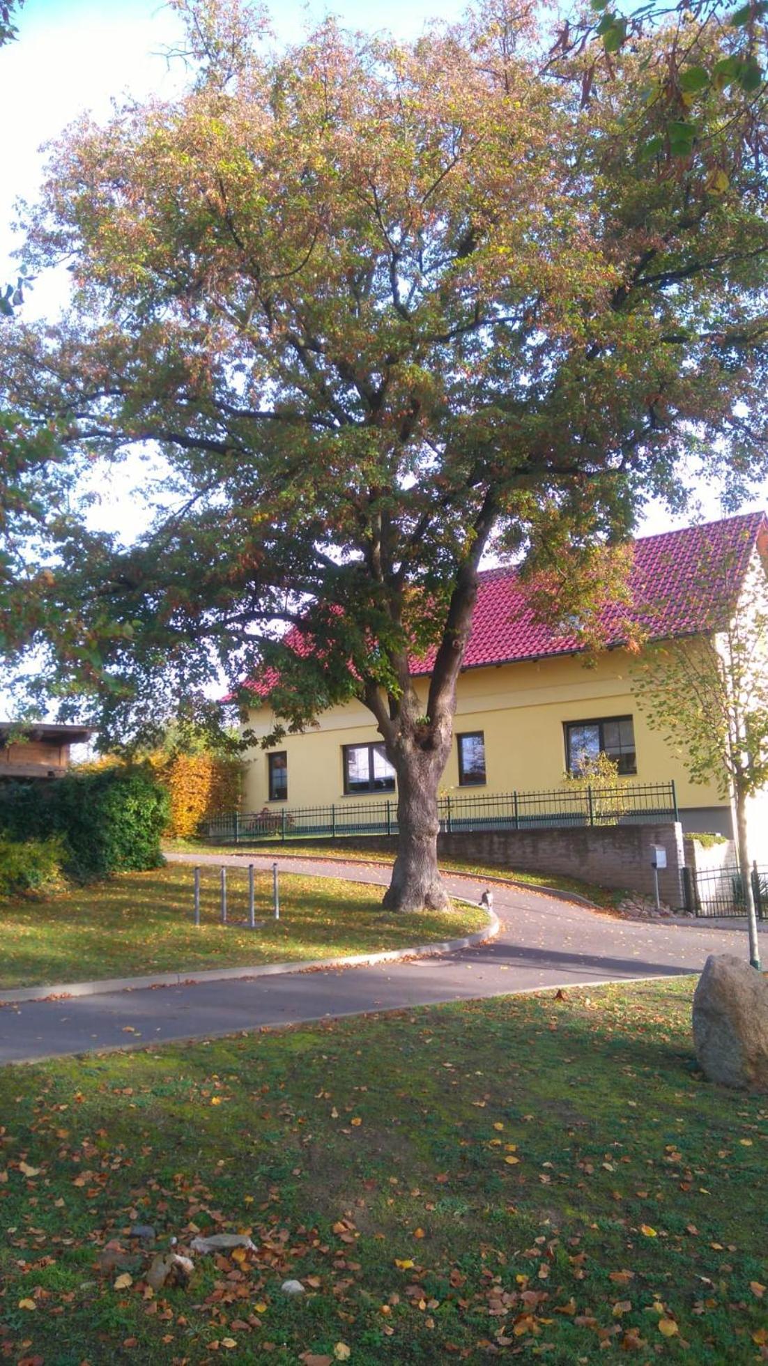Ferienwohnung Perlitz Petersdorf  Esterno foto